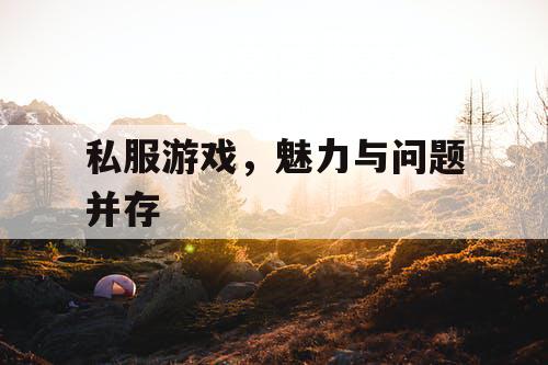 私服游戏，魅力与问题并存