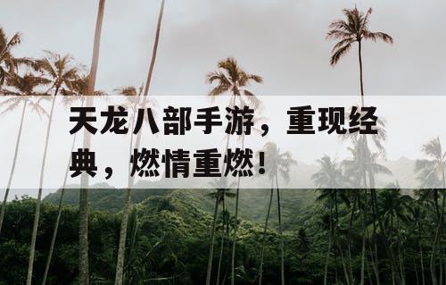 天龙八部手游，重现经典，燃情重燃！