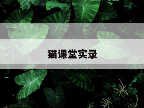 猫课堂实录