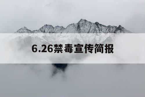 6.26禁毒宣传简报