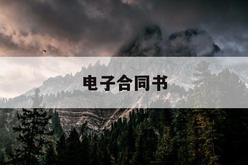电子合同书