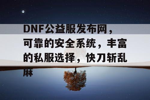 DNF公益服发布网，可靠的安全系统，丰富的私服选择，快刀斩乱麻