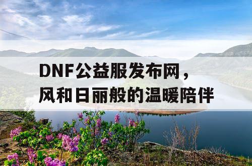 DNF公益服发布网，风和日丽般的温暖陪伴