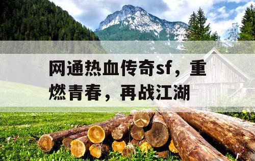 网通热血传奇sf，重燃青春，再战江湖