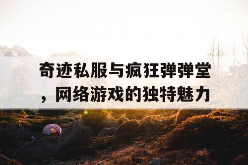 奇迹私服与疯狂弹弹堂,网络游戏的独特魅力 奇迹私服与疯狂弹弹堂,网络游戏的独特魅力