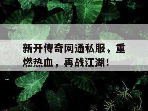 新开传奇网通私服，重燃热血，再战江湖！