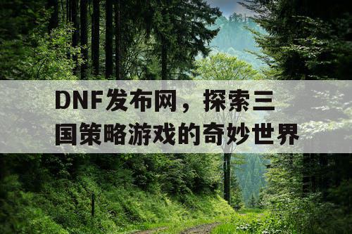 DNF发布网，探索三国策略游戏的奇妙世界