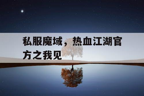 私服魔域，热血江湖官方之我见