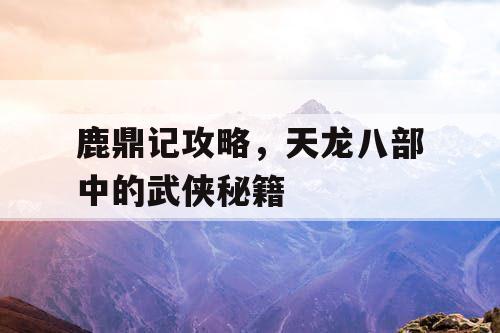 鹿鼎记攻略，天龙八部中的武侠秘籍