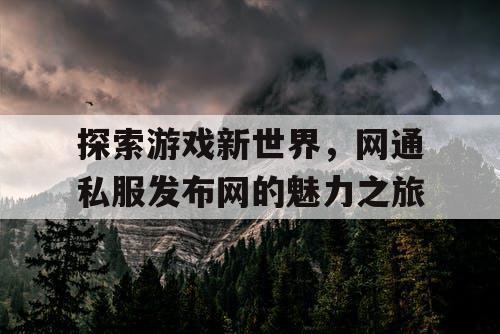 探索游戏新世界，网通私服发布网的魅力之旅