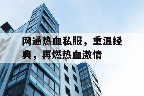 网通热血私服，重温经典，再燃热血激情