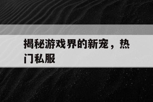 揭秘游戏界的新宠，热门私服