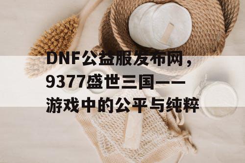 DNF公益服发布网,9377盛世三国——游戏中的公平与纯粹 DNF公益服发布网,9377盛世三国——游戏中的公平与纯粹