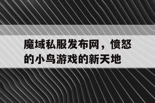 魔域私服发布网，愤怒的小鸟游戏的新天地