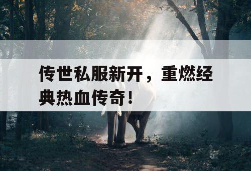 传世私服新开,重燃经典热血传奇! 传世私服新开,重燃经典热血传奇!