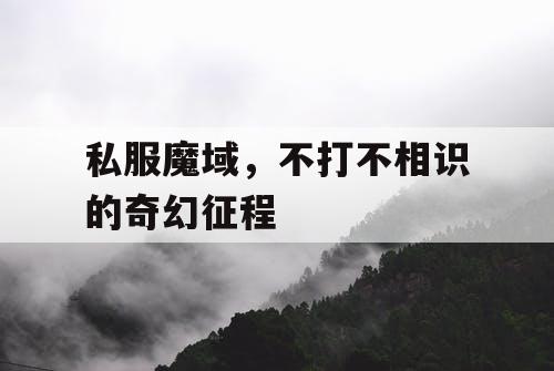 私服魔域,不打不相识的奇幻征程 私服魔域,不打不相识的奇幻征程