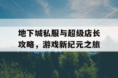 地下城私服与超级店长攻略,游戏新纪元之旅 地下城私服与超级店长攻略,游戏新纪元之旅