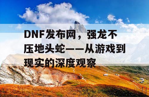 DNF发布网，强龙不压地头蛇——从游戏到现实的深度观察