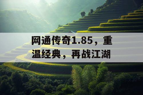 网通传奇1.85，重温经典，再战江湖