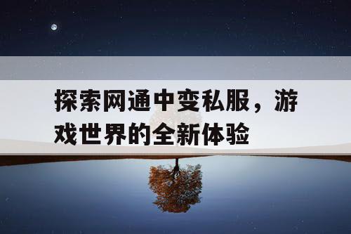 探索网通中变私服，游戏世界的全新体验