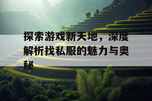 探索游戏新天地，深度解析找私服的魅力与奥秘