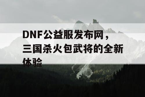 DNF公益服发布网，三国杀火包武将的全新体验