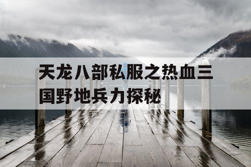 天龙八部私服之热血三国野地兵力探秘