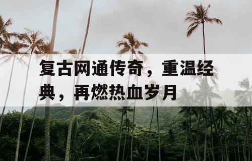 复古网通传奇，重温经典，再燃热血岁月