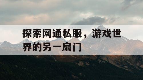 探索网通私服，游戏世界的另一扇门