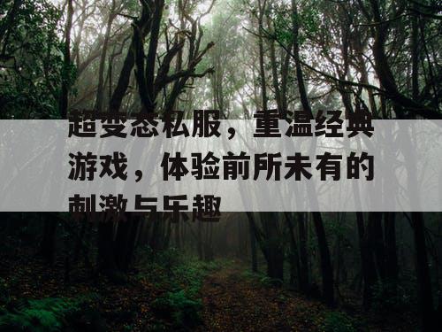 超变态私服，重温经典游戏，体验前所未有的刺激与乐趣