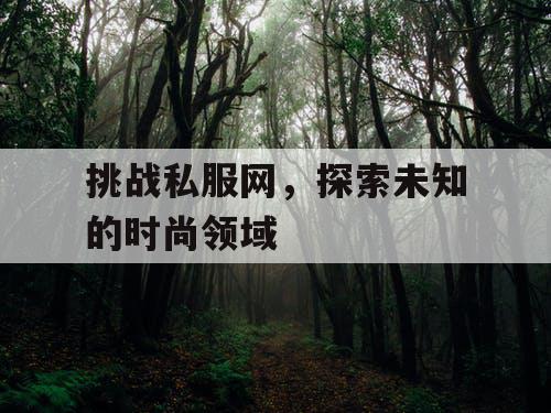 挑战私服网，探索未知的时尚领域