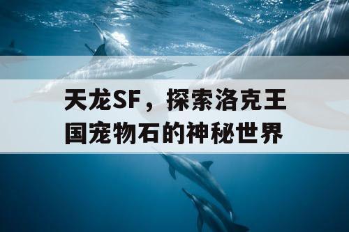 天龙SF，探索洛克王国宠物石的神秘世界