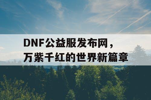 DNF公益服发布网，万紫千红的世界新篇章