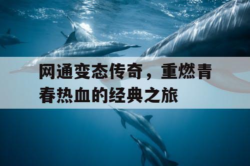 网通变态传奇，重燃青春热血的经典之旅