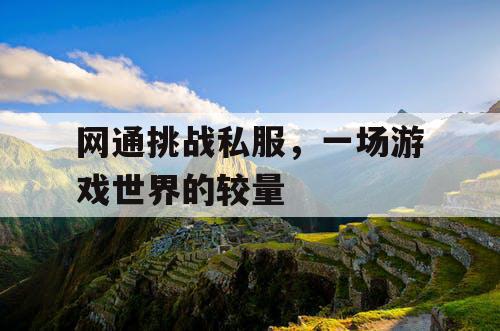 网通挑战私服，一场游戏世界的较量