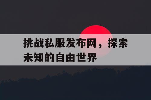 挑战私服发布网，探索未知的自由世界