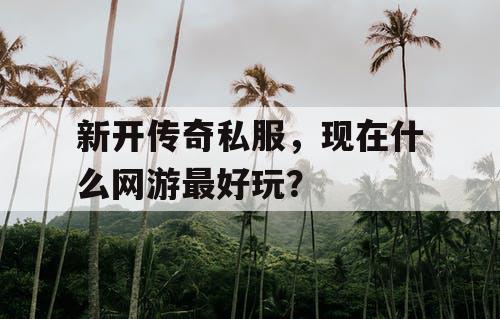 新开传奇私服，现在什么网游最好玩？