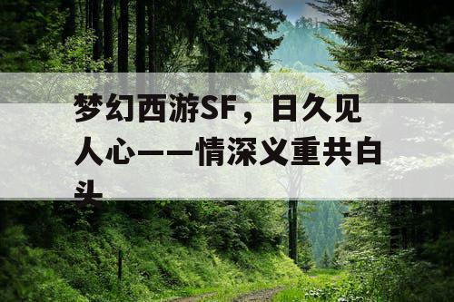 梦幻西游SF，日久见人心——情深义重共白头