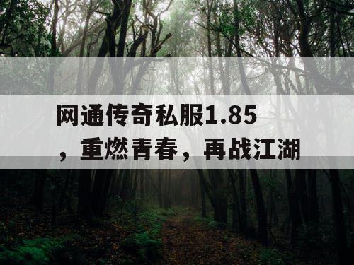 网通传奇私服1.85，重燃青春，再战江湖