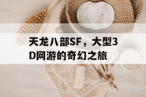 天龙八部SF，大型3D网游的奇幻之旅