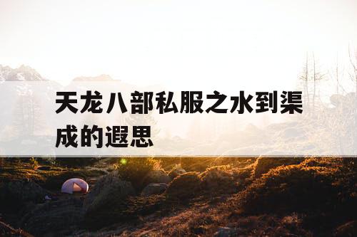 天龙八部私服之水到渠成的遐思