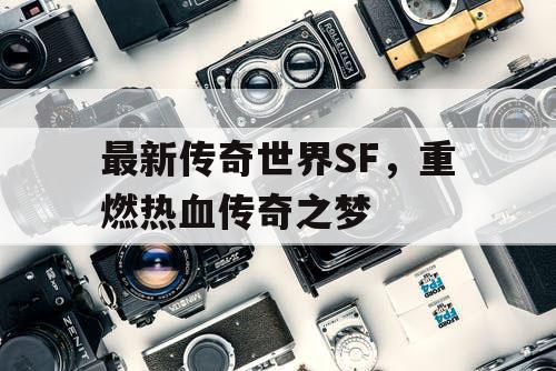 最新传奇世界SF，重燃热血传奇之梦
