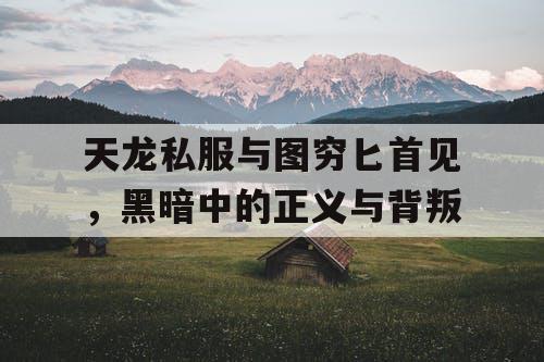 天龙私服与图穷匕首见，黑暗中的正义与背叛