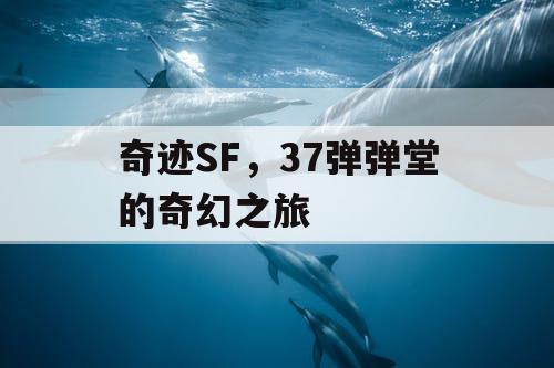 奇迹SF，37弹弹堂的奇幻之旅