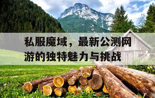 私服魔域，最新公测网游的独特魅力与挑战