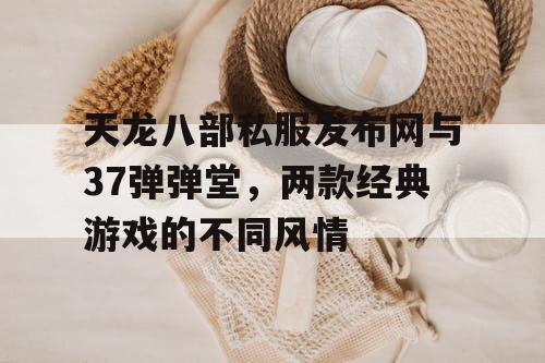 天龙八部私服发布网与37弹弹堂，两款经典游戏的不同风情