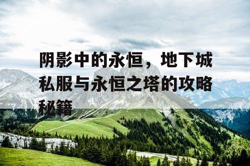 阴影中的永恒，地下城私服与永恒之塔的攻略秘籍