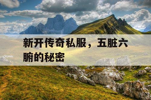 新开传奇私服,五脏六腑的秘密 新开传奇私服,五脏六腑的秘密