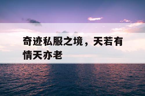 奇迹私服之境，天若有情天亦老