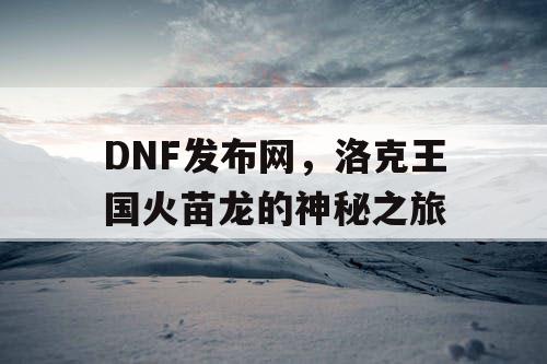 DNF发布网，洛克王国火苗龙的神秘之旅